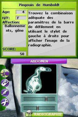 Pantallazo de Tus Amigos: Veterinarios Del Zoo para Nintendo DS