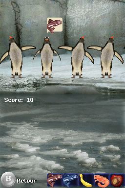 Pantallazo de Tus Amigos: Veterinarios Del Zoo para Nintendo DS