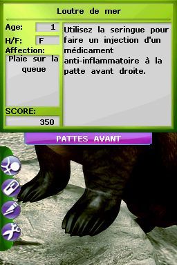 Pantallazo de Tus Amigos: Veterinarios Del Zoo para Nintendo DS