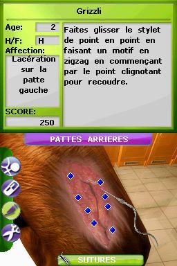 Pantallazo de Tus Amigos: Veterinarios Del Zoo para Nintendo DS