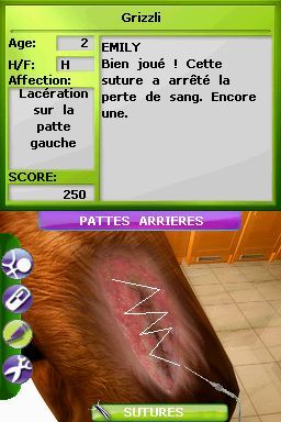 Pantallazo de Tus Amigos: Veterinarios Del Zoo para Nintendo DS