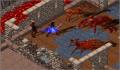 Pantallazo nº 59105 de Ultima Online: Lord Blackthorn's Revenge (250 x 256)