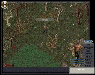 Pantallazo de Ultima Online: Third Dawn para PC