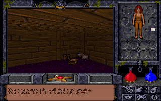 Pantallazo de Ultima Underworld II: Labyrinth Of Worlds para PC