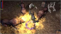Pantallazo de Untold Legends: Brotherhood of the Blade para PSP