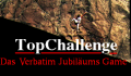 Verbatim: Top Challenge