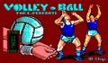 Pantallazo nº 8505 de Volley Ball (338 x 219)