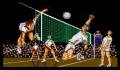 Pantallazo nº 241087 de Volleyball Simulator (800 x 498)