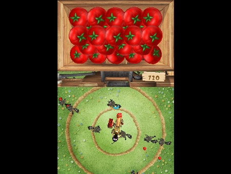 Pantallazo de Vuelta al Corral: Barnyard Games para Nintendo DS