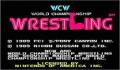 WCW: World Championship Wrestling