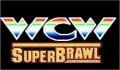 Foto 1 de WCW Superbrawl Wrestling