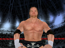 Pantallazo de WWE SmackDown! vs. RAW 2008 para Nintendo DS