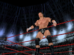 Pantallazo de WWE SmackDown! vs. RAW 2008 para Nintendo DS