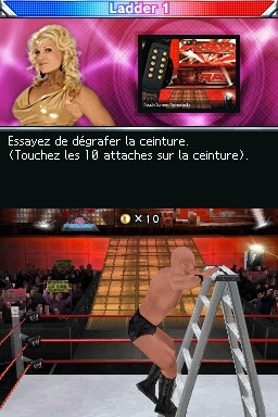 Pantallazo de WWE SmackDown vs. Raw 2009 para Nintendo DS