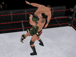 Pantallazo de WWE SmackDown vs. Raw 2009 para Nintendo DS