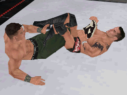 Pantallazo de WWE SmackDown vs. Raw 2009 para Nintendo DS
