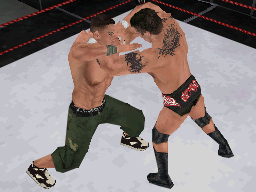 Pantallazo de WWE SmackDown vs. Raw 2009 para Nintendo DS