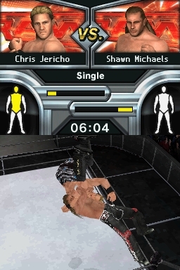 Pantallazo de WWE SmackDown vs. Raw 2009 para Nintendo DS