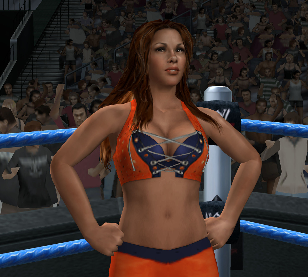 Pantallazo de WWE Smackdown vs Raw 2010 para Wii