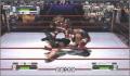 Pantallazo nº 34627 de WWF No Mercy (250 x 190)