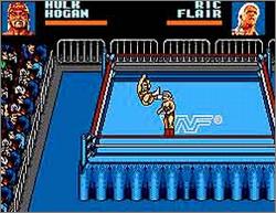 Pantallazo de WWF WrestleMania: Steel Cage Challenge para Sega Master System