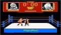 Foto 2 de WWF WrestleMania