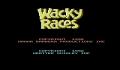 Pantallazo nº 249890 de Wacky Races (640 x 480)