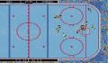 Pantallazo nº 249328 de Wayne Gretzky Hockey 2 (800 x 514)