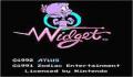 Foto 1 de Widget