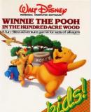 Winnie The Pooh in Hundred Acres Wood