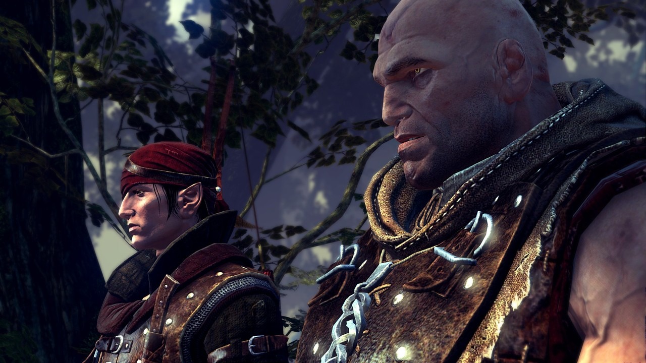 Pantallazo de Witcher 2: Assassins of Kings, The para PC
