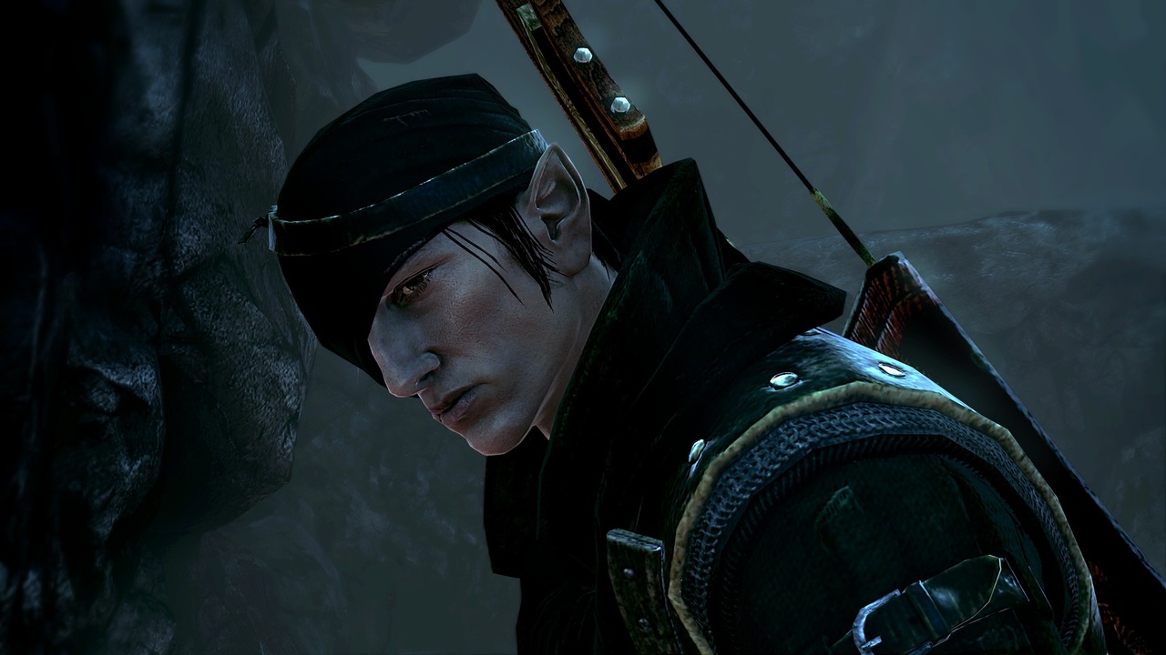 Pantallazo de Witcher 2: Assassins of Kings, The para PC