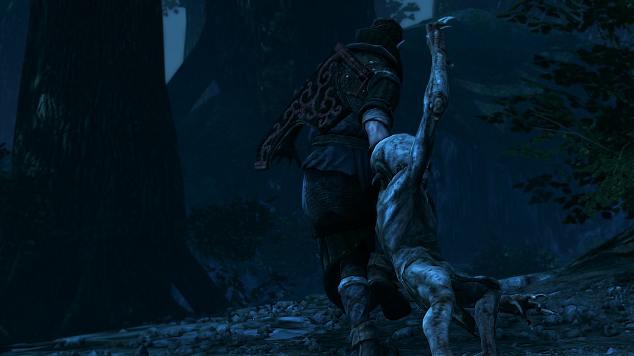 Pantallazo de Witcher 2: Assassins of Kings, The para PC