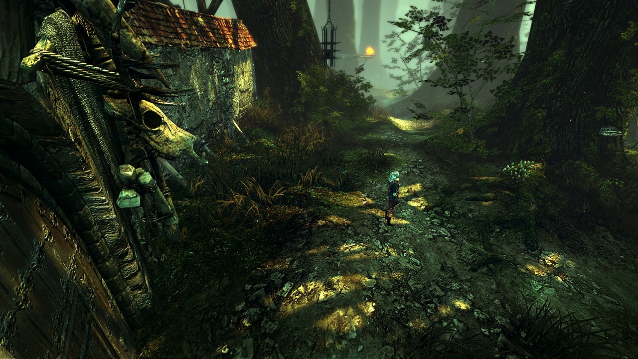 Pantallazo de Witcher 2: Assassins of Kings, The para PC