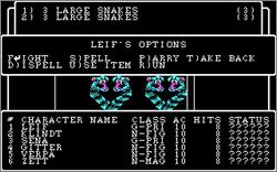 Pantallazo de Wizardry: Legacy of Llylgamyn -- The Third Scenario para PC