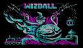 Foto 1 de Wizball