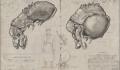 Pantallazo nº 147556 de Wolfenstein (800 x 450)