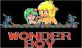 Pantallazo nº 93812 de Wonder Boy (250 x 193)