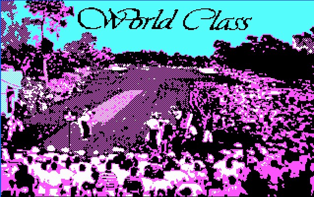 Pantallazo de World Class Leader Board para PC
