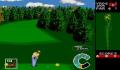 Pantallazo nº 30892 de World Class Leaderboard Golf (320 x 224)