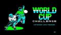 Pantallazo nº 8530 de World Cup Challenge (293 x 211)