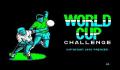 World Cup Challenge