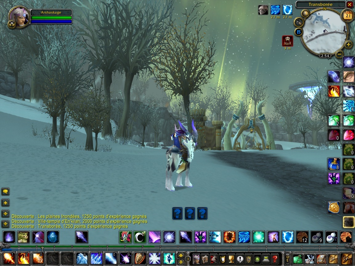 Pantallazo de World of Warcraft: Wrath of the Lich King para PC