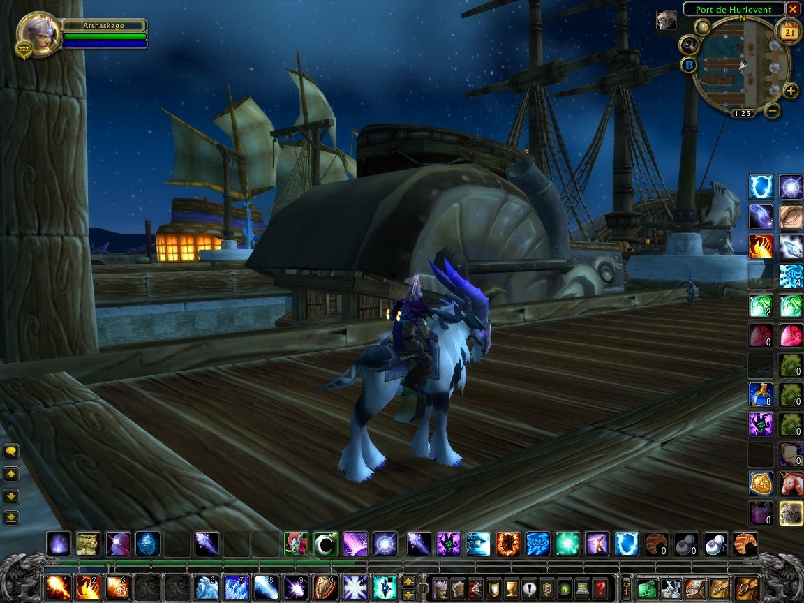 Pantallazo de World of Warcraft: Wrath of the Lich King para PC