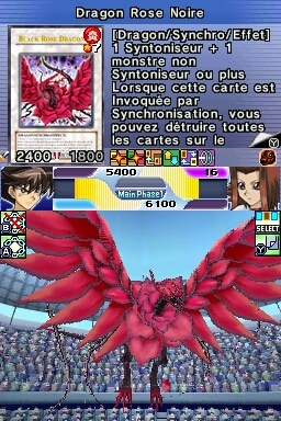 Pantallazo de Yu-Gi-Oh! 5Ds Stardust Accelerator World Championship Tournament 2009 para Nintendo DS