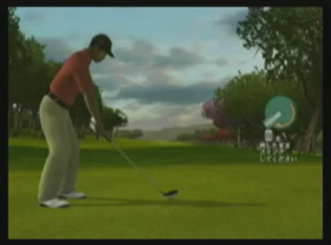 Vídeo de Tiger Woods PGA Tour 09 All-Play