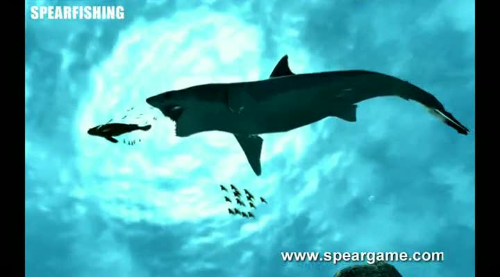 Vídeo de Spearfishing