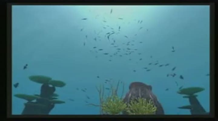 Vídeo de Endless Ocean 2