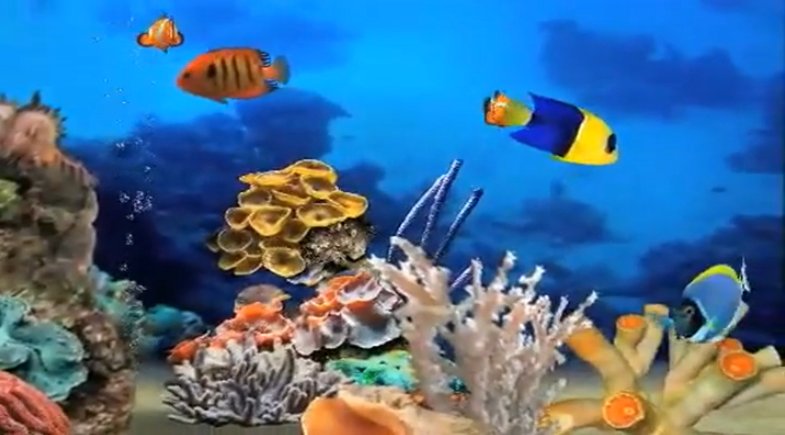 Vídeo de MyReef 3D Aquarium