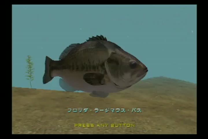 Vídeo de Big Catch Bass Fishing 2